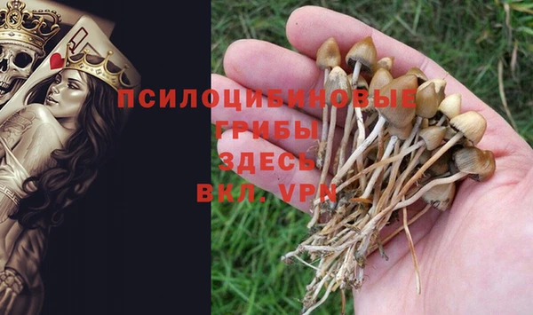 таблы Алзамай
