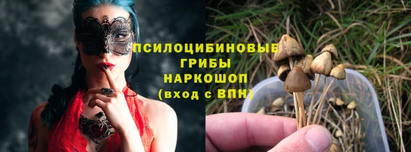 гашик Алексеевка