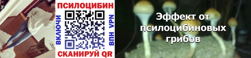 магазин продажи   Щигры  Псилоцибиновые грибы ЛСД 
