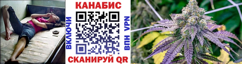 магазин    Щигры  Конопля OG Kush 